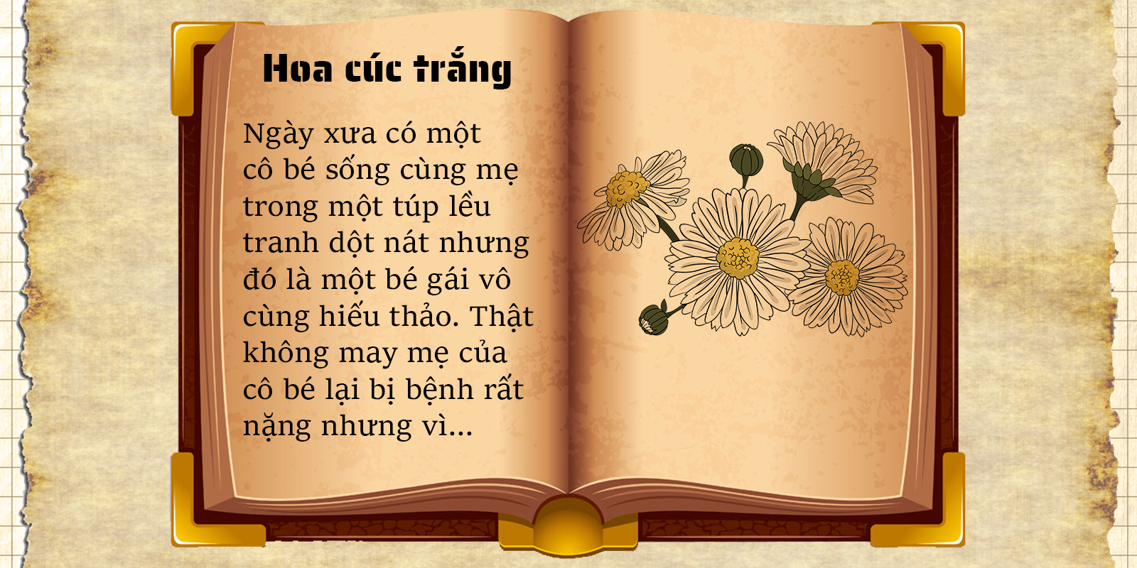 Hoa cúc trắng