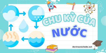 Chu kỳ của nước