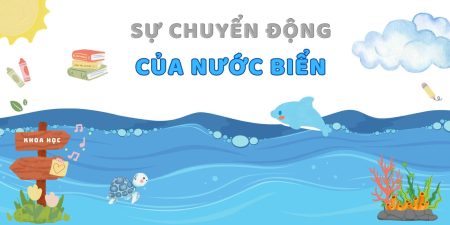 Sự chuyển động của nước biển