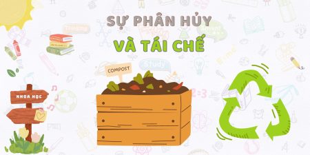 Sự phân hủy và tái chế