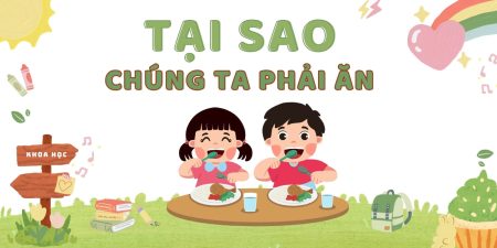 Tại sao chúng ta phải ăn, uống và ngủ